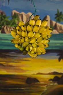Images Dated 29th October 2008: Africa, Seychelles