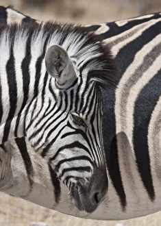 Africa, South Africa