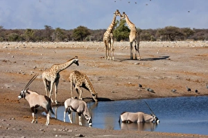 Africa, South Africa