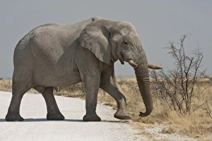 Images Dated 29th August 2009: Africa, South Africa