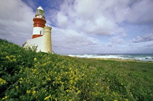 Africa, South Africa
