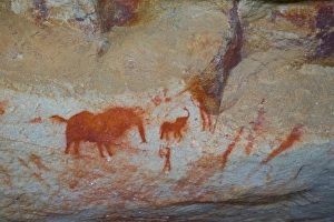 Images Dated 10th September 2007: Africa, South Africa