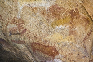 Images Dated 5th September 2007: Africa, South Africa
