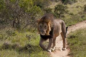 Images Dated 20th April 2010: Africa, South Africa
