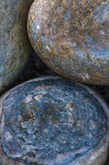 Northern Cape Prints: Africa, South Africa, Buckballbaai. Cluster of rocks rounded by erosion. Credit as