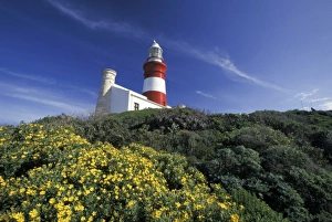 Southernmost Prints: Africa, South Africa. Cape Agulhas Lighthouse, southernmost point of Africa