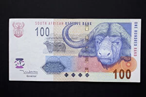 Namibia Collection: Africa, South Africa. Close-up of South African rand paper money