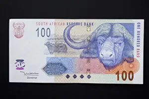 Family Prints: Africa, South Africa. Close-up of South African rand paper money