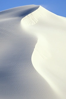 Images Dated 6th August 2010: Africa, South Africa, DeHoop Nature Reserve. White sand dunes along the Indian Ocean