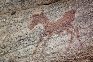 Hanging Prints: Africa, South Africa, Northern Cederberg Pakhuis Conservancy, Sevilla Rock Art Trail