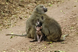 Africa, Tanzania