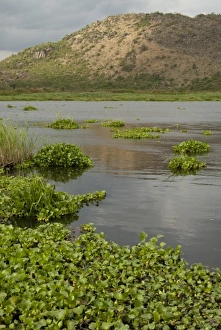 Images Dated 2nd October 2009: Africa, Tanzania