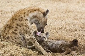 Africa, Tanzania
