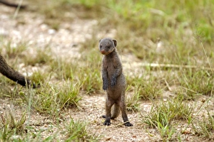 Africa, Tanzania