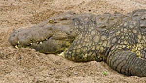 Africa, Tanzania