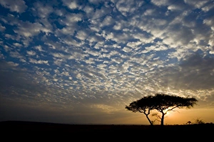 Africa, Tanzania