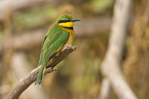 Africa, Tanzania