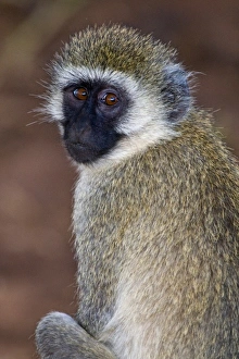 Africa, Tanzania