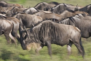 Africa, Tanzania