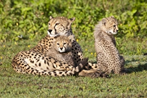 Africa, Tanzania