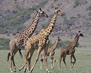 Africa, Tanzania