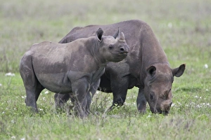 Africa, Tanzania