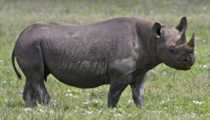 Africa, Tanzania