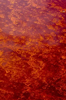 Rift Valley Prints: Africa, Tanzania, Aerial view of patterns of red algae and salt formations in shallow