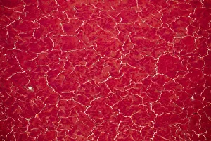 Africa, Tanzania, Aerial view of patterns of red algae and salt formations in shallow