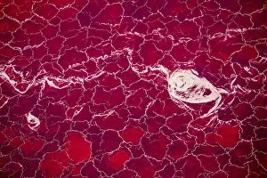 Africa, Tanzania, Aerial view of patterns of red algae and salt formations in shallow