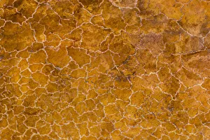 Rift Valley Prints: Africa, Tanzania, Aerial view of patterns of yellow algae