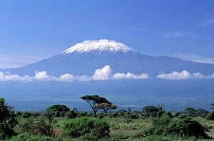 Editor's Picks: Africa, Tanzania. Mount Kilimanjaro, African landscape and zebra