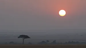 Galleries: Landscape Collection