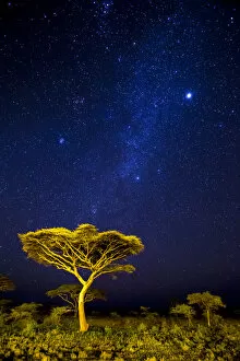 Tanzania Gallery: Africa. Tanzania. Stars of the Milky Way illuminate the night sky at Ndutu in Serengetti