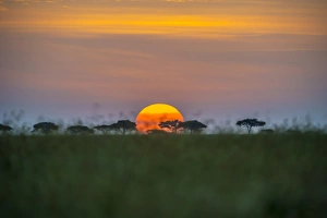 Africa, Tanzania, sunset