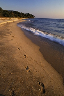 Images Dated 13th September 2007: Africa, Tanzaniz, Lake Tanganika. Beach landscape