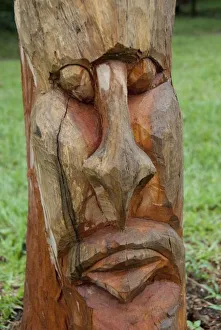 Images Dated 17th May 2010: Africa, Togo