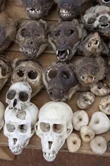 Images Dated 17th May 2010: Africa, Togo. Lome Voodoo Fetish Market. Local market where animal bones, skin