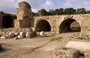 Images Dated 10th January 2021: Africa, Tunisia