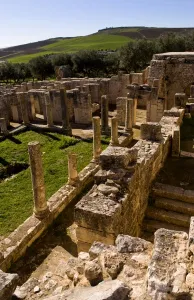 Images Dated 11th January 2021: Africa, Tunisia