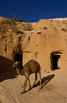 Images Dated 16th January 2021: Africa, Tunisia