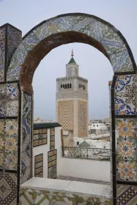 Images Dated 3rd March 2010: Africa, Tunisia