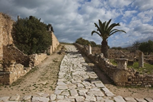 Africa, Tunisia
