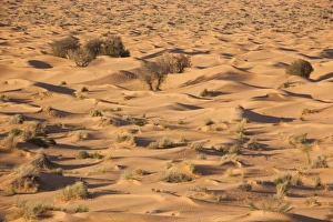 Africa, Tunisia