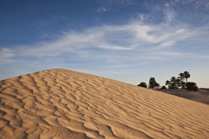 Images Dated 18th March 2010: Africa, Tunisia