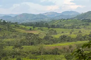 Images Dated 24th May 2016: Africa, Uganda, Ishasha, Queen Elizabeth National Park. Territorial view near Mweya