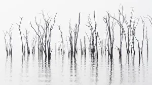 Images Dated 3rd October 2017: Africa, Zimbabwe, Matusadona National Park. Reflections on Lake Kariba. Credit as