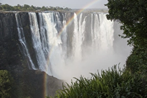 Fern Prints: Africa, Zimbabwe, Victoria Falls. Landscape of waterfall and rainbow