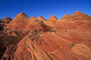 Images Dated 28th December 2018: Afternoon light on marbled sandstone formations near Buckskin Gulch
