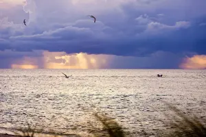 Weather Prints: Afternoon storms, Redfish pass, Captiva Island, FL